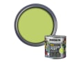 Garden Paint Lime Zest 250ml